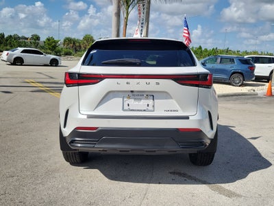 2025 Lexus NX NX 250