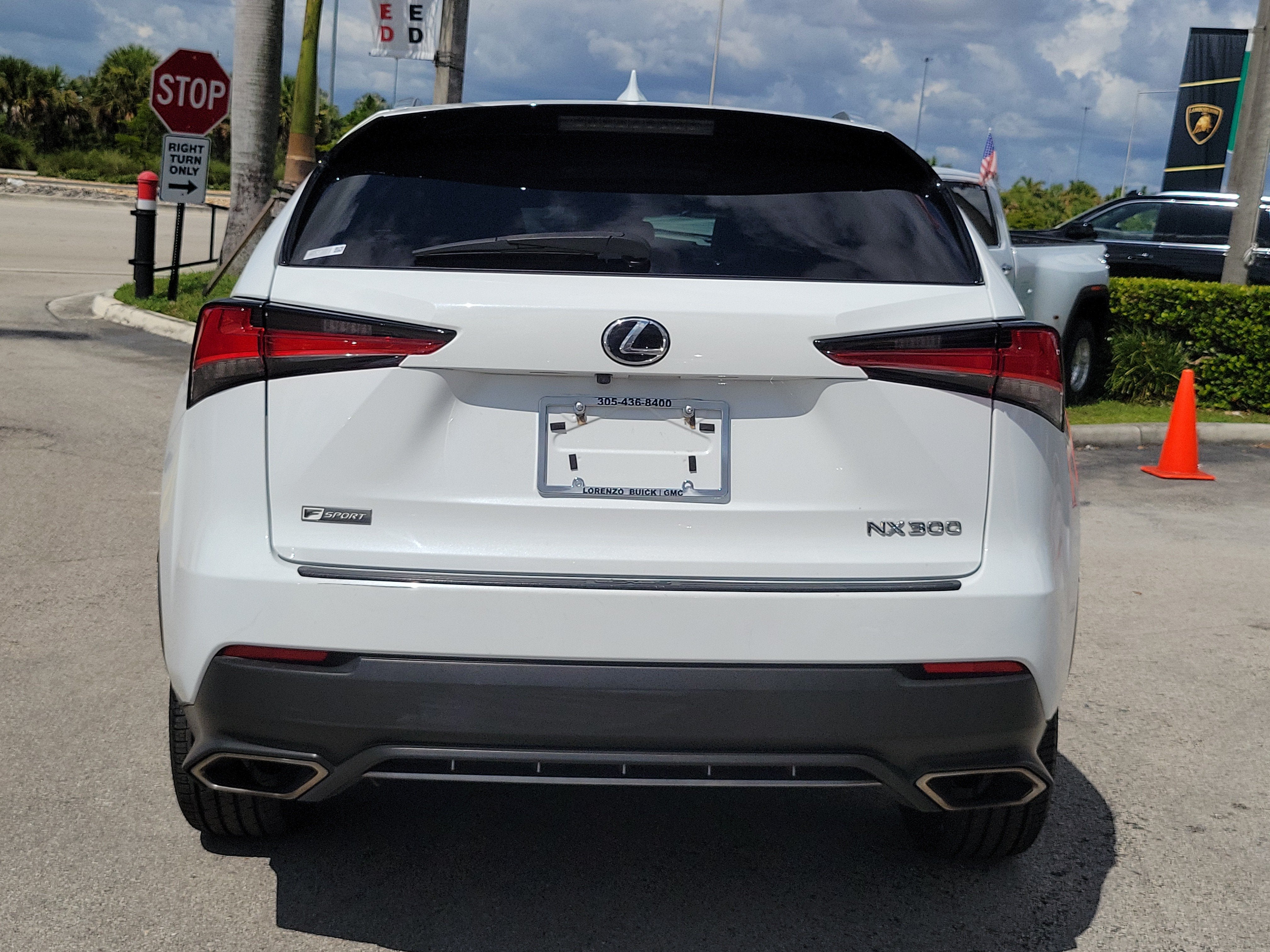 2020 Lexus NX NX 300 F SPORT