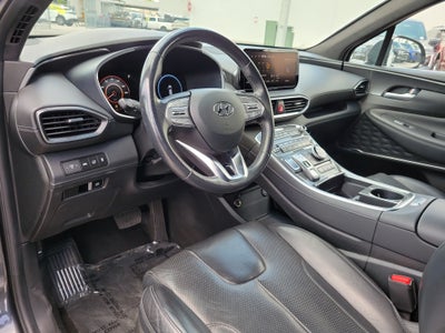 2022 Hyundai Santa Fe Calligraphy
