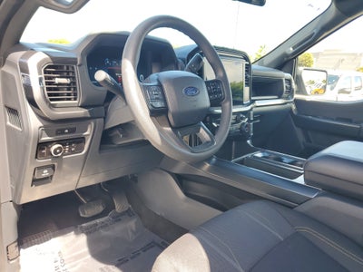 2025 Ford F-150 STX 4WD