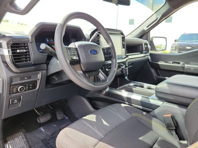 2025 Ford F-150 STX 4WD