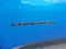 2026 Jeep Compass Latitude Altitude 4WD